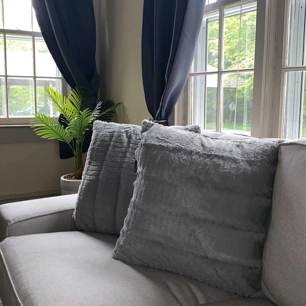 Two Accent Pillows - Picture 2 of 2